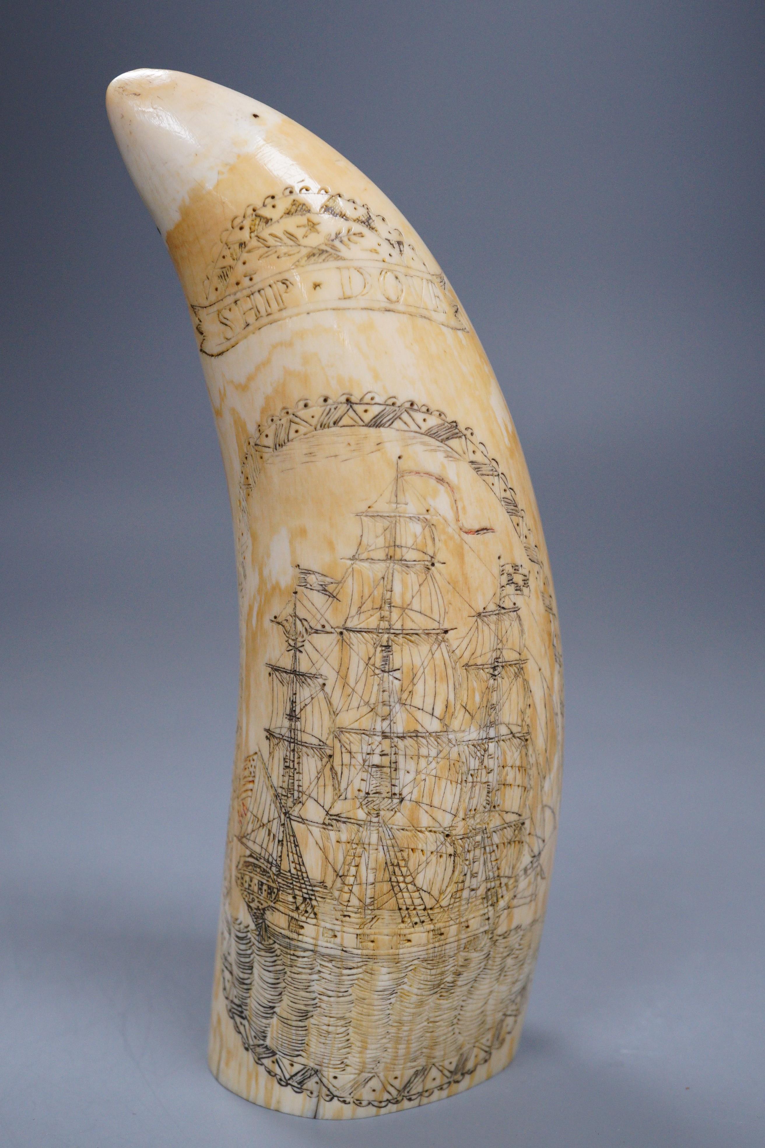A carved scrimshaw whale tooth titled ‘Ship Dove’, 16cm